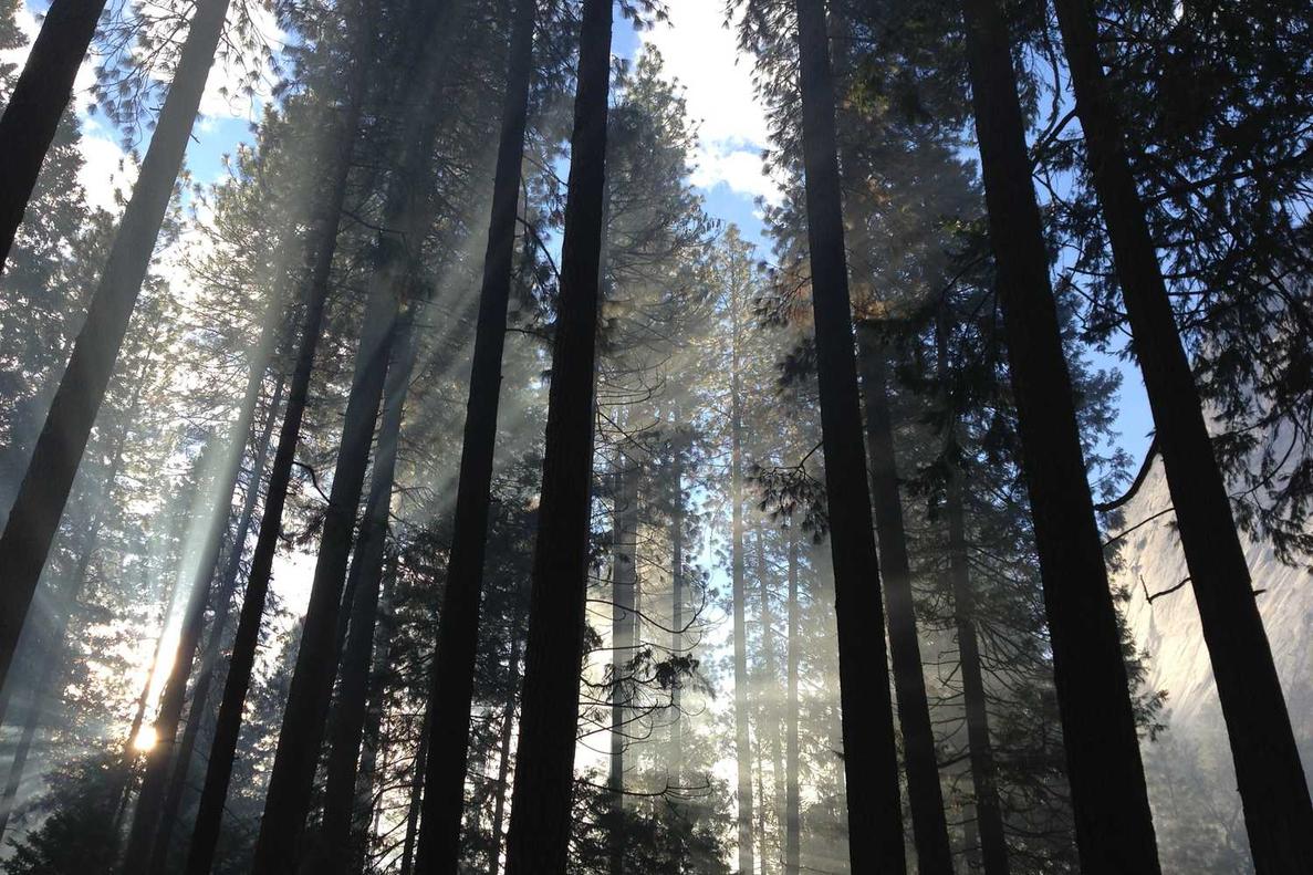 Iusto sequi exercitationem incidunt et autem voluptas aut